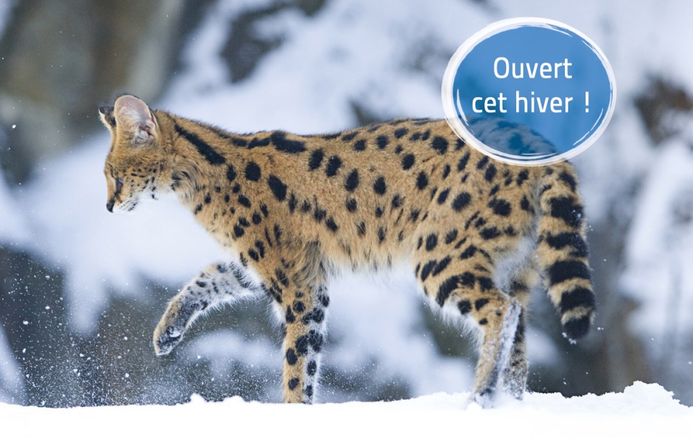 Visuel-ouverture-hiver