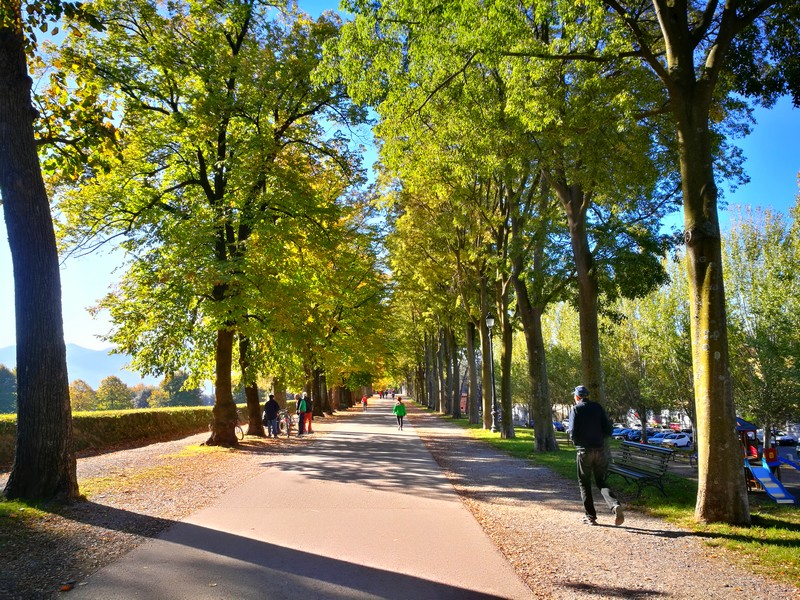 remparts-lucca-toscane.jpg