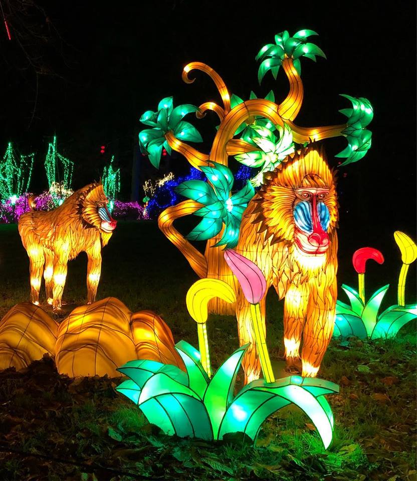 Zoo de Thoiry 10.jpg