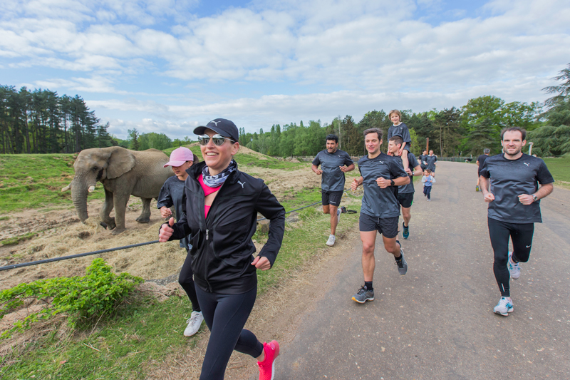 coureurs-wild-race-03_0