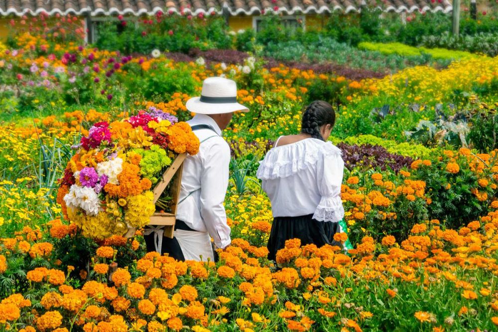 santa-elena-medellin.abfc617b