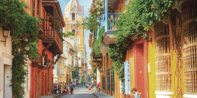 tzoo.36765.0.629313.Bogota